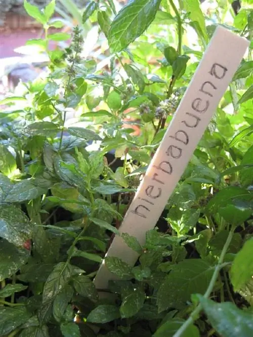 этикетка зубочисток для растений