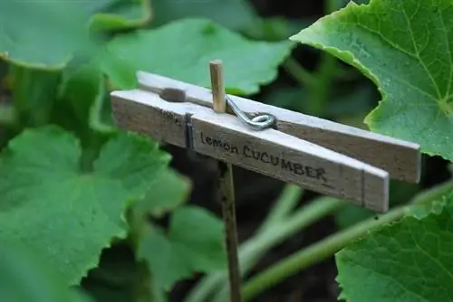 пинцет в качестве этикетки