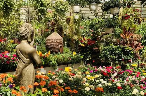 уход за растениями