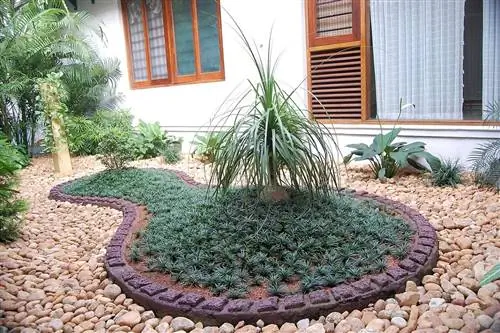 сад с своего рода островом и растением Ophiopogon japonicus