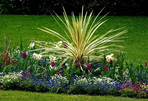 Полив растений будет определяться многими факторами