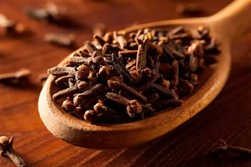 Гвоздика имеет много применений.