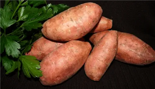 сладкий картофель съедобен