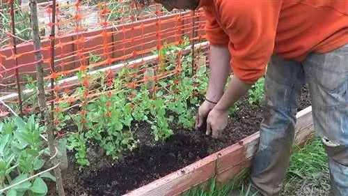 органический сад дома