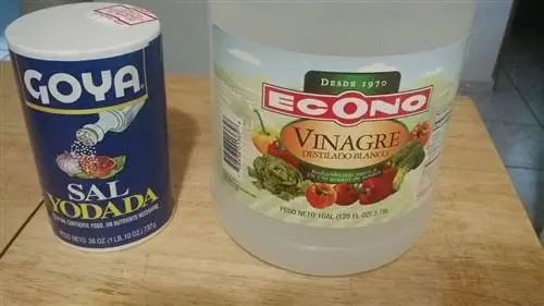 соль и уксус