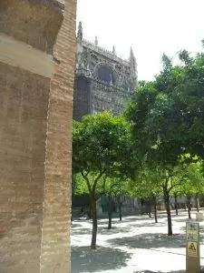 Вид на патио де лос Наранхос