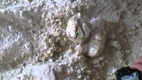 коррекция рН
