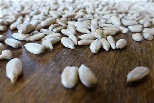 Семечки подсолнуха прорастают очень быстро.