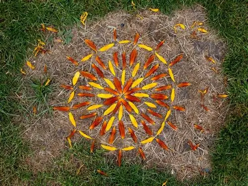Landart можно сделать в саду