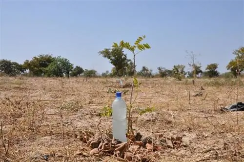 Сделайте капельный полив своими руками