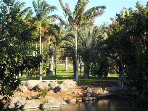 Palmetum of Tenerife - современный сад