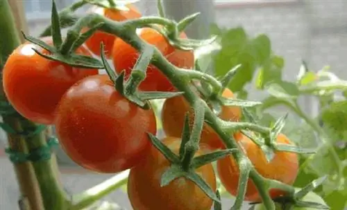 картина картина