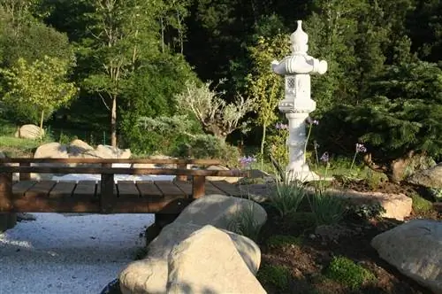 Экзотические растения