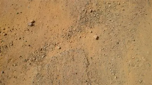 В зависимости от типа почвы она может быть более или менее плодородной.