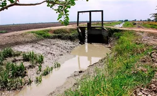 Почва может иметь плохой или хороший дренаж