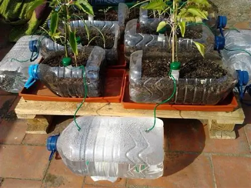 капиллярное орошение