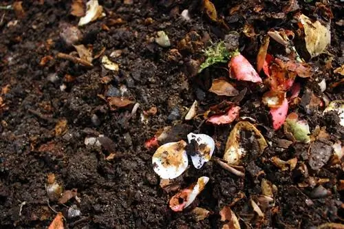 органическое вещество в почве