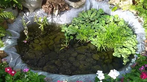 Шаги, которые нужно предпринять, чтобы построить свой пруд