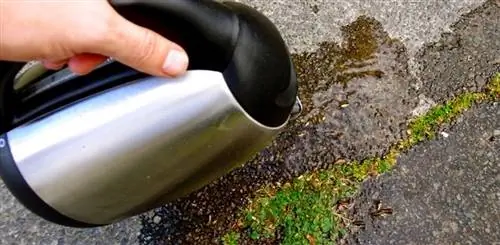 кипячение для сорняков