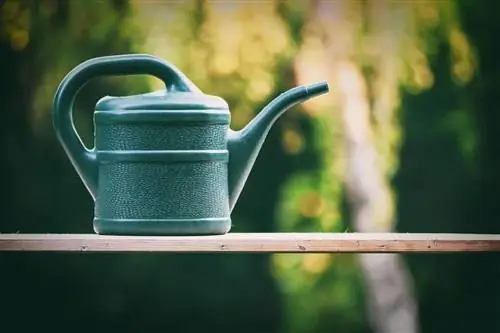 Как удалить известковый налет из воды для полива растений