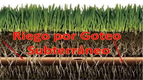 закопанная капельница