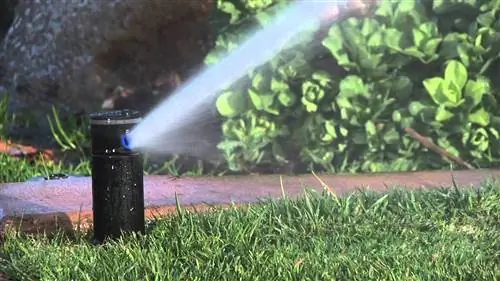 Как полить газон без разбрызгивателей