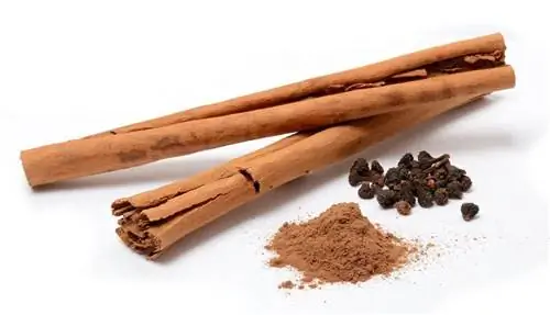 Cinnamonum verum, научное название корицы