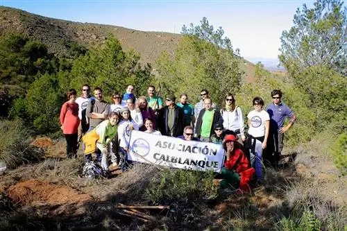 Работы по сохранению ладанника