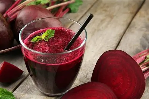 свойства свеклы