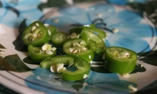 Чили куаресмено: характеристики, происхождение и выращивание