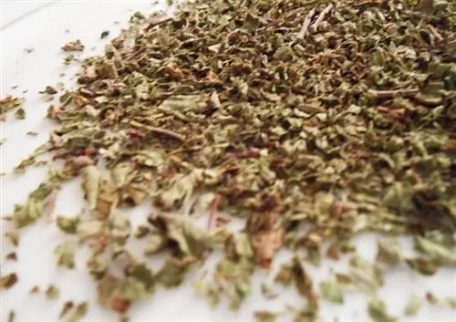 настои шалфея