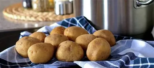 картофель сорта агата поверх ткани