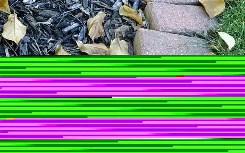 Сухие листья могут быть удобрением.