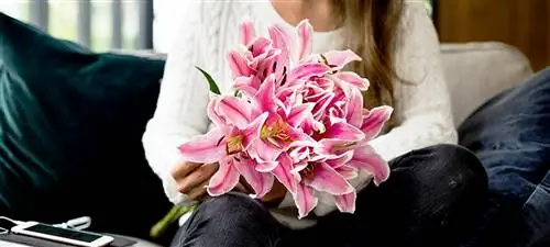 розовый цветок