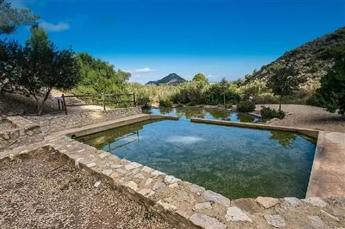 Биологические бассейны - места релаксации