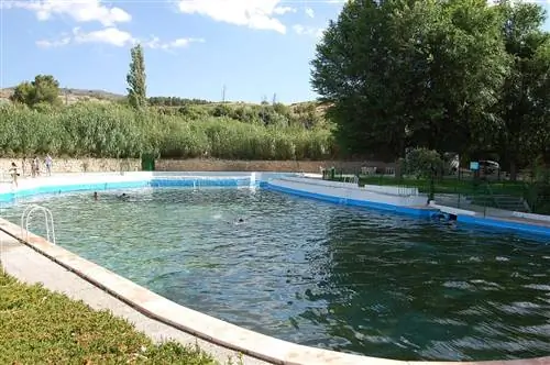 Биологический бассейн интересен для сада