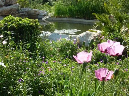 преимущества родного сада