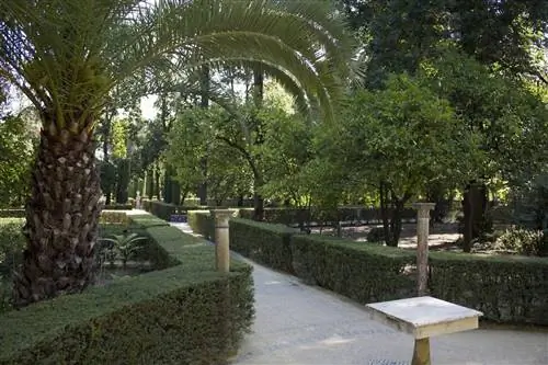Тропинка в садах Алькасара Севильи
