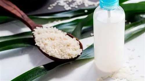 Польза рисовой воды для растений