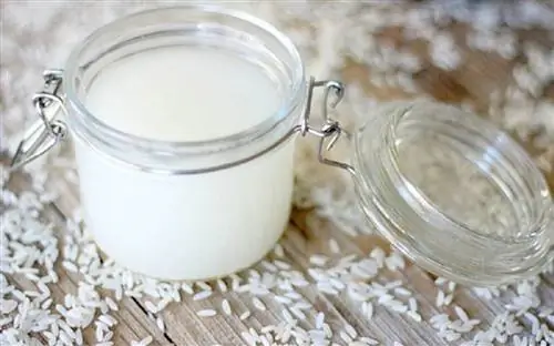 Польза рисовой воды для растений
