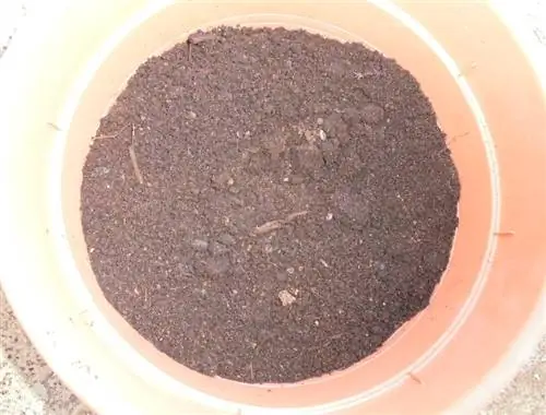 бросать торф