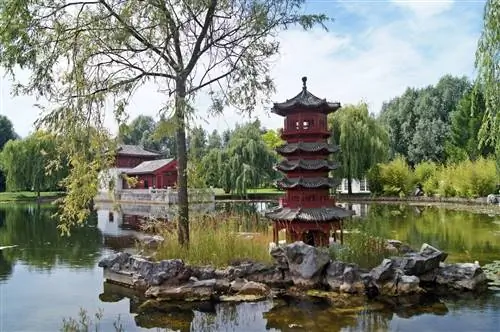 Как китайский сад?