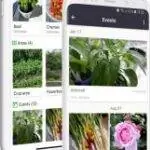 Gardenize используется для проектирования садов.