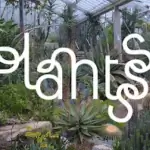 Plantsss идеально подходит для изучения растений