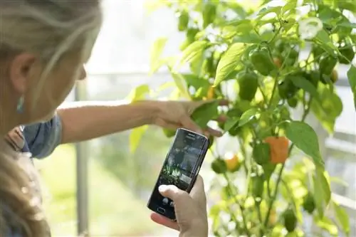 Приложения для садового дизайна