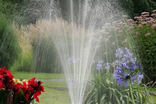 Вам нужно искать реформатор, когда вы хотите поставить автоматический полив