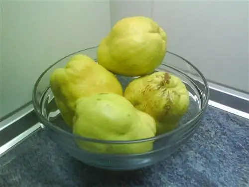 спелый фрукт