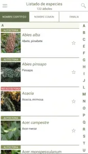 Список файлов ArbolApp