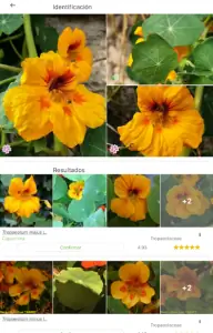 Вид приложения PlantNet