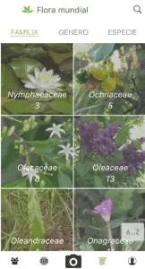 PlantNet поможет вам узнать больше о вашем предприятии